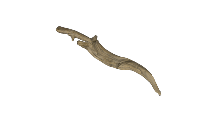 Driftwood-2