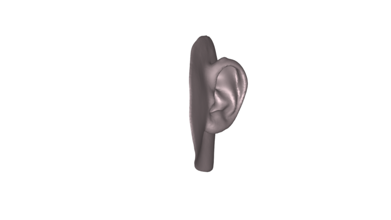 Ear-2